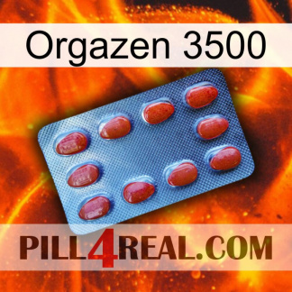 Orgazen 3500 06